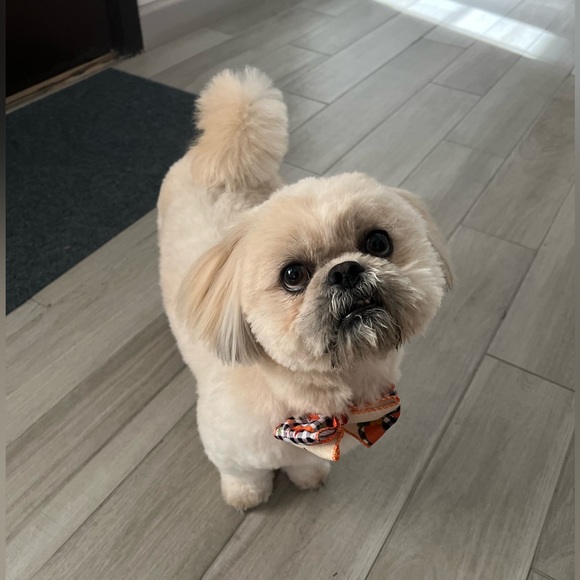 Meet your Posher, Leticia!👋🏽 - Picture 10 of 10